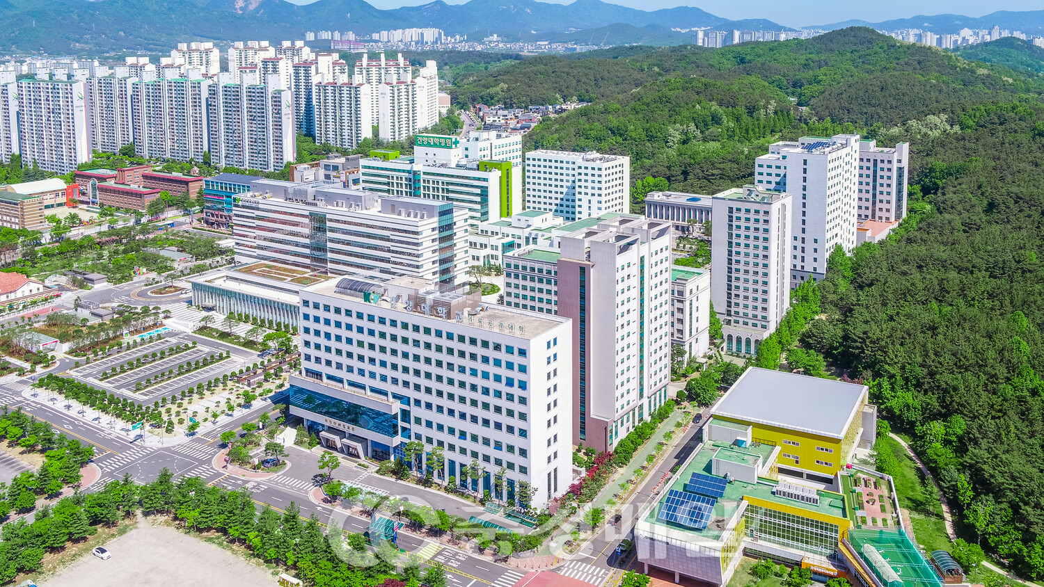 언론속의 건양 > 글로벌건양·라운지 > ]